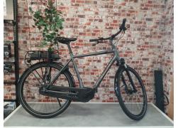 Trek District+ 1 XL Lithium Grey (300 Wh)